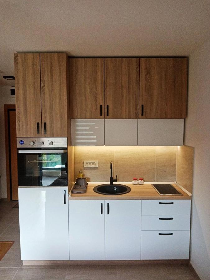 Studio Apartman Gorski Kristal Zlatibor Zewnętrze zdjęcie
